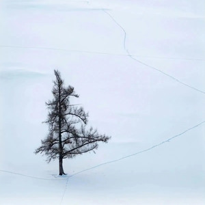 Beautiful Rainbow-Leekoen