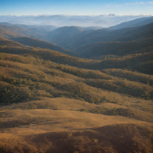 A Field Hidden in Fog