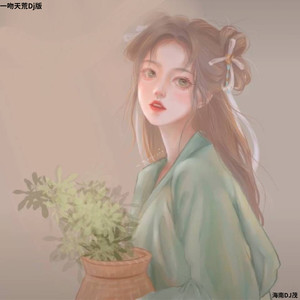 海南DJ茂 - 此生不换 (DJ版)