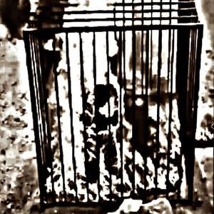 MURDER ON THE AVENUE