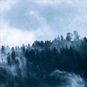 你有自己的梦要追