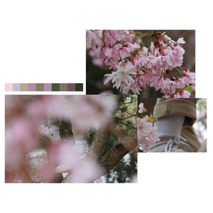 i am fairly certain that frankie from no option hates me