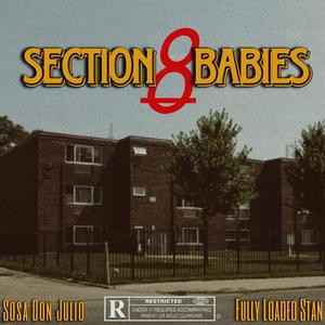 Section 8 Babies (feat. Sosa Don Julio) [Explicit]