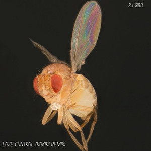 Lose Control (Kokiri Remix)