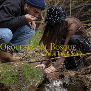 Orquesta del Bosque (feat. Solrie)