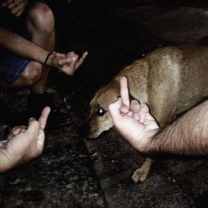 Campus Homicide (Explicit)