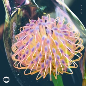 Life (Can't Get Much Better)