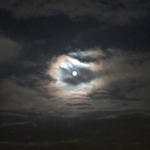 Always In The Back Of My Mind