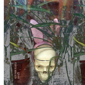 Alex Park - Unsere Ziele