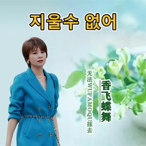 지울수 없어 (无法抹去)