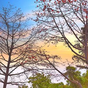 Eric Clapton - Wonderful Tonight