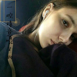 一腔诗意喂了狗 (remix)