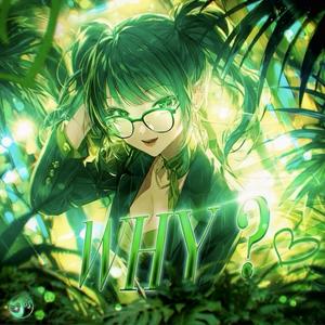 Why ? (Brazilian Phonk) (Slowed & Reverb)