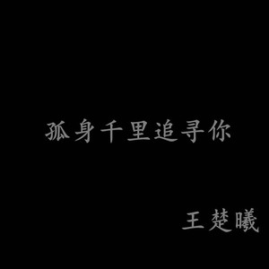 孤身千里追寻你