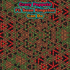 Can Do (feat. Sean Kingston) (Explicit)