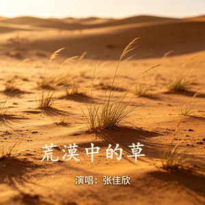 荒漠中的草-张佳欣