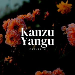 Kanzu Yangu