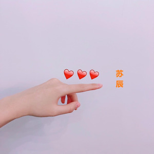 爱你 陪你 想你 念你