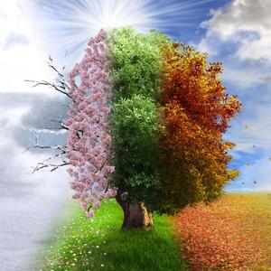 Buku - Nothing But Me (Explicit)