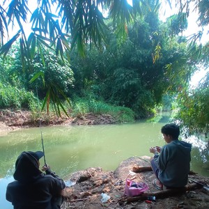 Tarsidi gemoyy