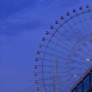 We made 25 turns in the ferris wheel that day .封面