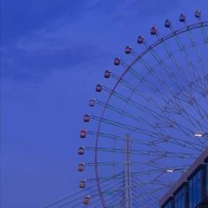 We made 25 turns in the ferris wheel that day .