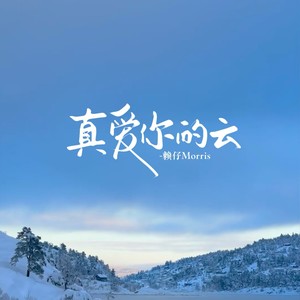 真爱你的云封面