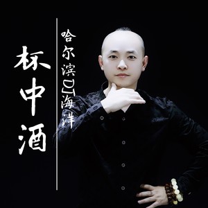 DJ海洋 杯中酒 (咚鼓版)