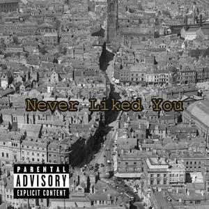 Never Liked You (Explicit)