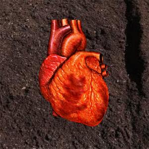My Heart Is Dirt (Explicit)