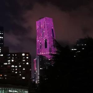 Penthouse view ! (Explicit)