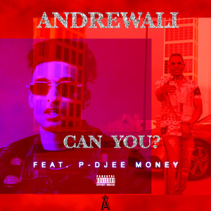 Can You? (Explicit)