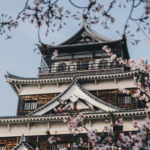 47 Ay Katie (Explicit)