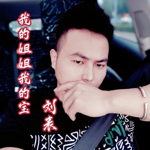 我的姐姐我的宝