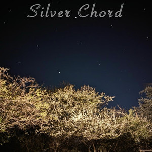 Silver Chord