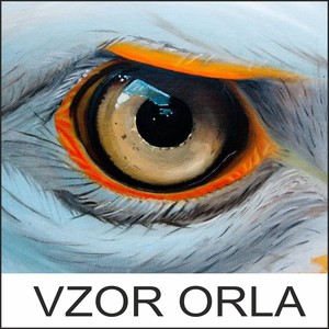 Vzor Orla