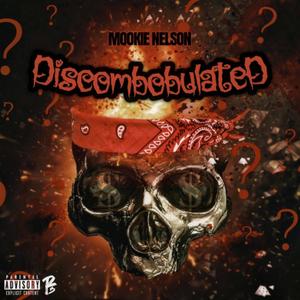 Discombobulated "Freestyle" (Explicit)