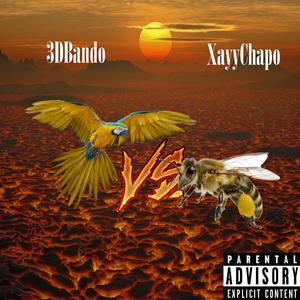 Birds x Bees (feat. Xayy Chapo) (Explicit)