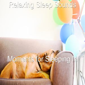 Moments for Sleeping In