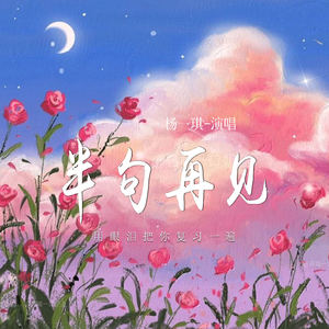 半句再见 (用眼泪把你复习一遍)-杨一琪