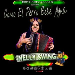 Como El Perro Bebe Agua (Merengue tipico) (feat. Nelly Swing)