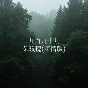 九百九十九朵玫瑰-苏晚星