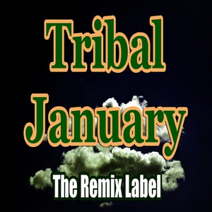 Tribal January (Vibrant House Music Compilation)