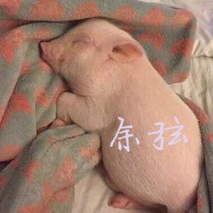 爱你不是分开的理由呢