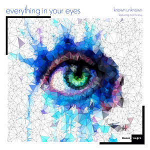 Everything in Your Eyes (Hector Merida's Space Disco Remix)