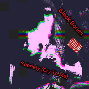 PAWS (The Plug) (feat. Logical) (Explicit)