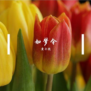 如夢令