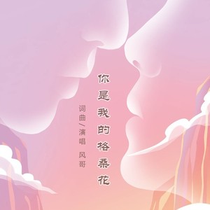 你是我的格桑花