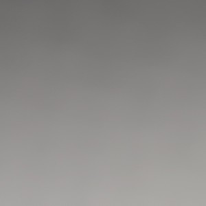 ORGAN DONER FREESTYLE (Explicit)