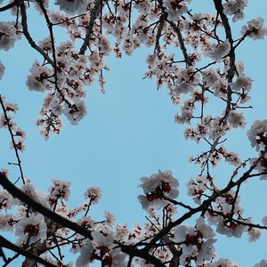 青深